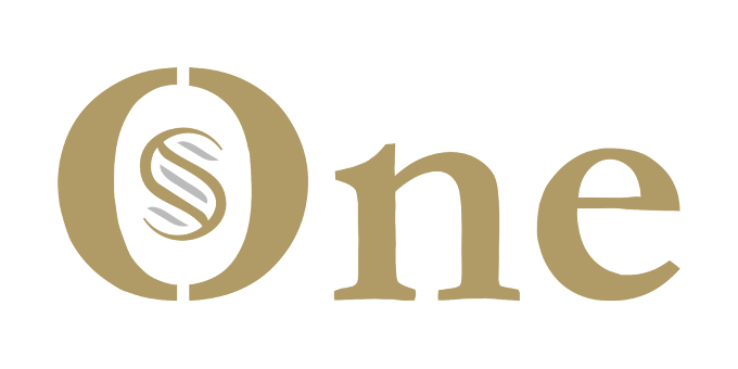 Partner 5